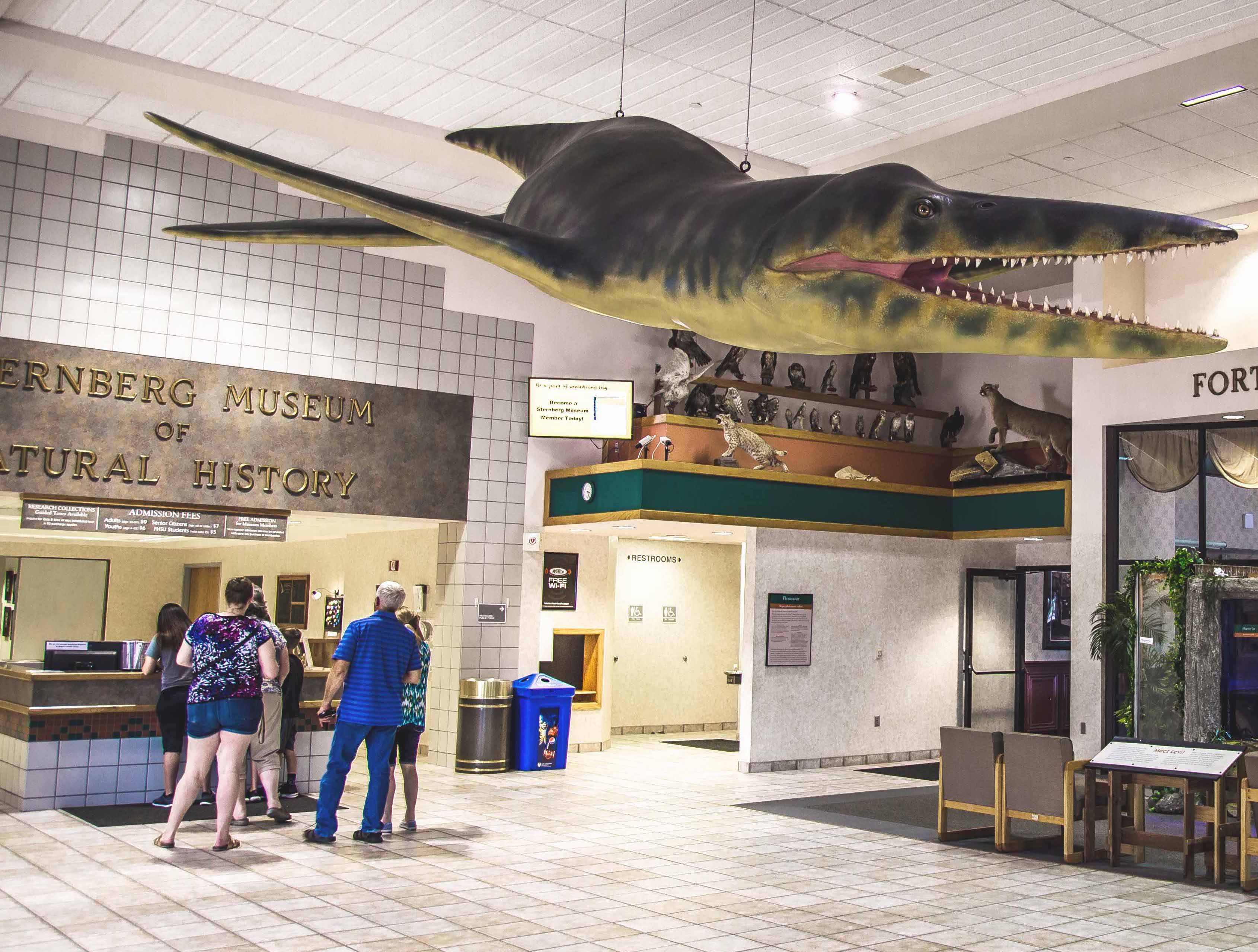 Visitor Services